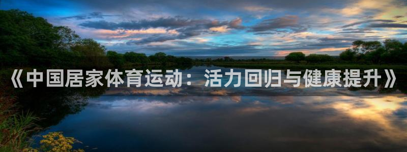 《中国居家体育运动：活力回归与健康提升》