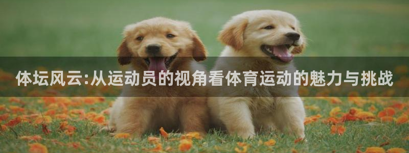 体坛风云:从运动员的视角看体育运动的魅力与挑战