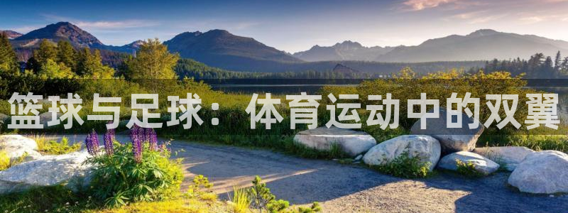 篮球与足球：体育运动中的双翼