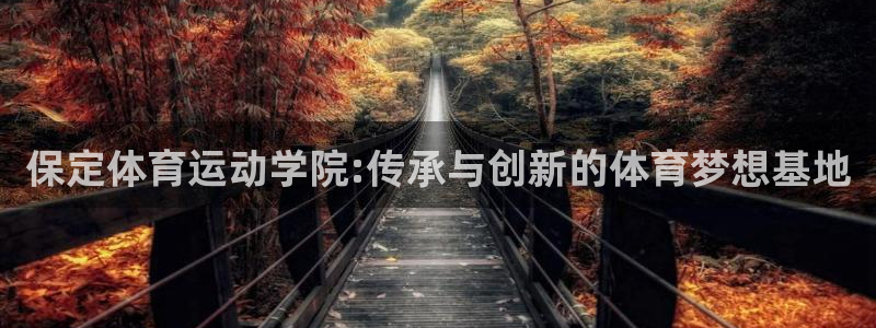 保定体育运动学院:传承与创新的体育梦想基地