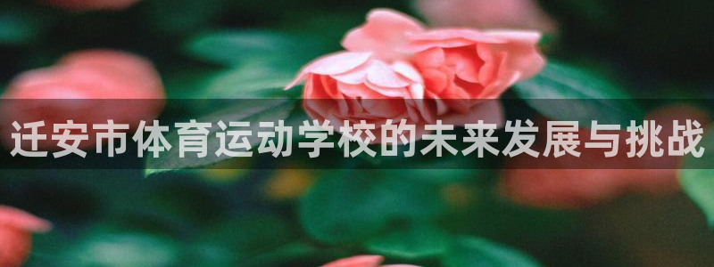 迁安市体育运动学校的未来发展与挑战