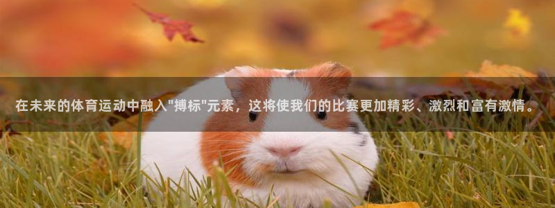 在未来的体育运动中融入\