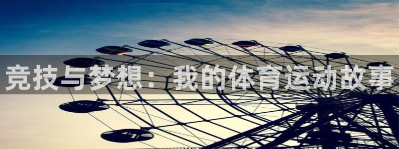 竞技与梦想：我的体育运动故事