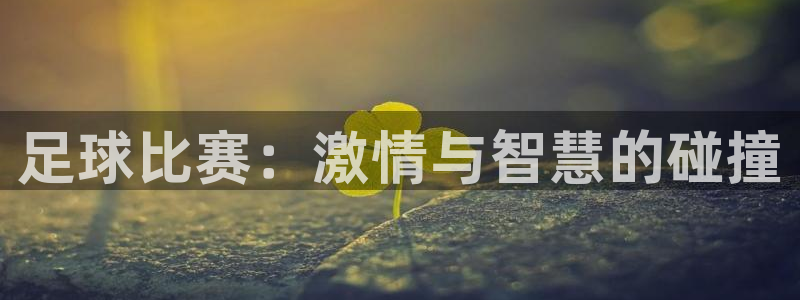 足球比赛：激情与智慧的碰撞
