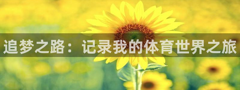 追梦之路：记录我的体育世界之旅