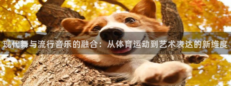 现代舞与流行音乐的融合：从体育运动到艺术表达的新维度