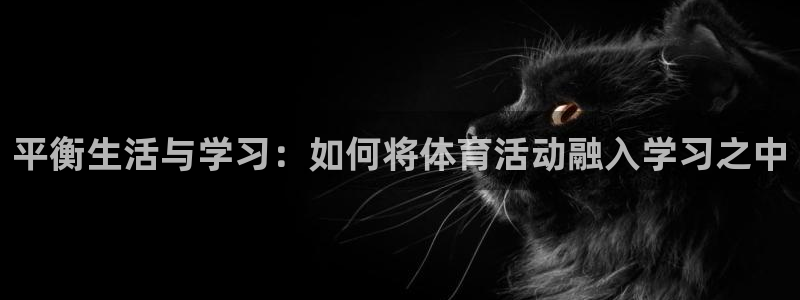 平衡生活与学习：如何将体育活动融入学习之中