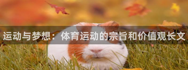 运动与梦想：体育运动的宗旨和价值观长文