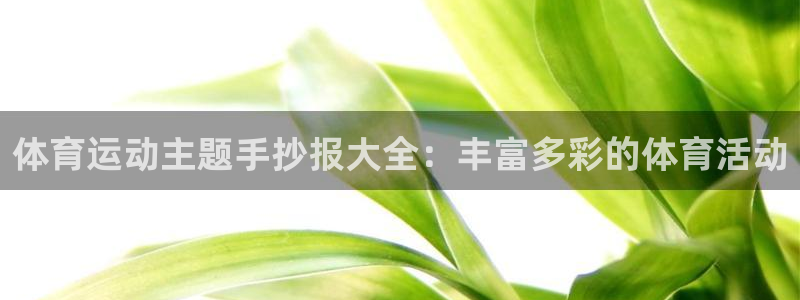 体育运动主题手抄报大全：丰富多彩的体育活动