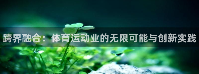 跨界融合：体育运动业的无限可能与创新实践