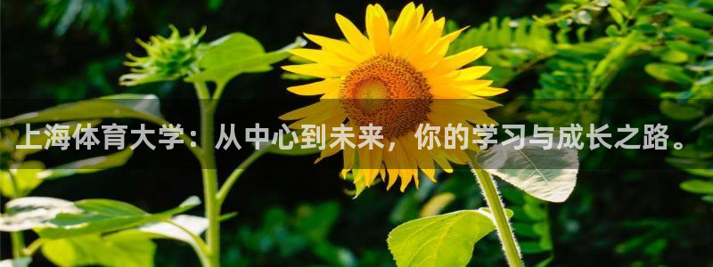 上海体育大学：从中心到未来，你的学习与成长之路。