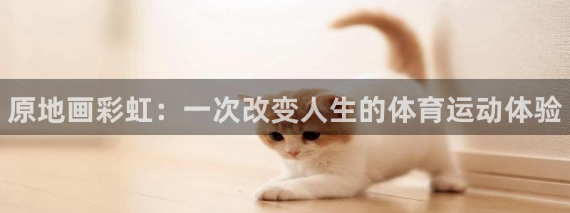 原地画彩虹：一次改变人生的体育运动体验