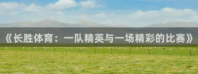 《长胜体育：一队精英与一场精彩的比赛》
