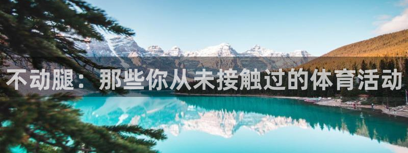 不动腿：那些你从未接触过的体育活动